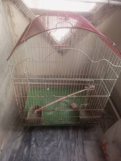 Cage small & medium