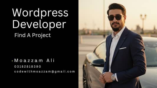 Wordpress Developer
