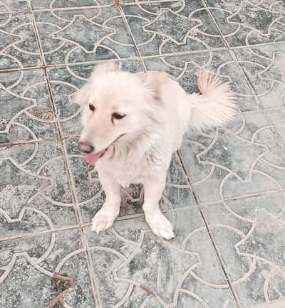 Russian female forsale