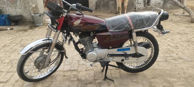 Honda Cg 125 2020 03130696930 watsapp