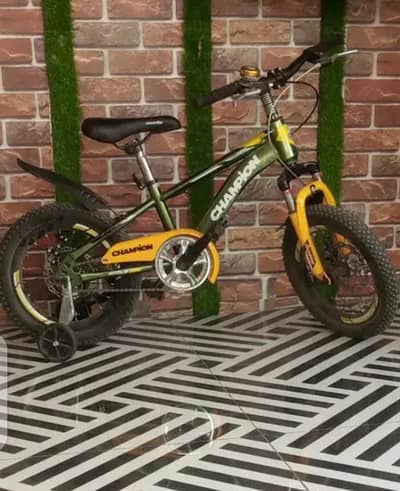 champion cycle disc break all ok condition Mein new h