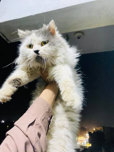 matting k Liye available