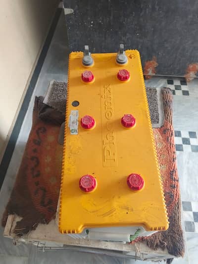 Phoenix Batteries 200 AH 23 Plates