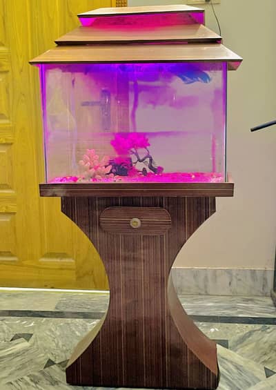 Fish Aquarium With Stand.