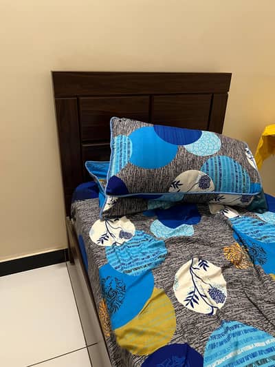 Single Bed with New Mattress (Master Caleste matress)