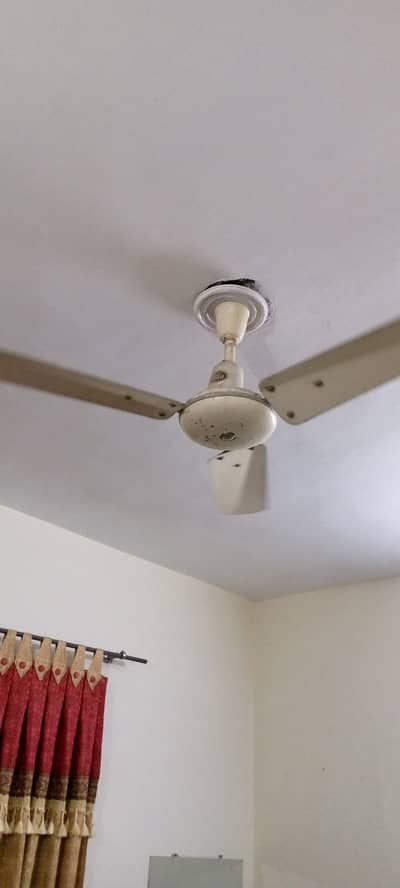 Best Brand celling Fans