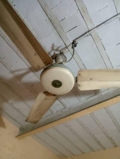 ceeling fan 10/10 condition
