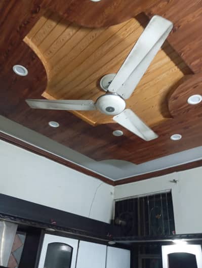 Royal or pakfan for sale