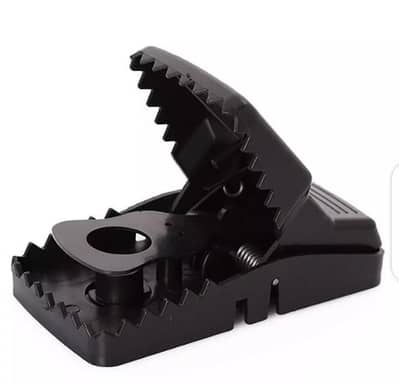 Pest Control Services Peshawar