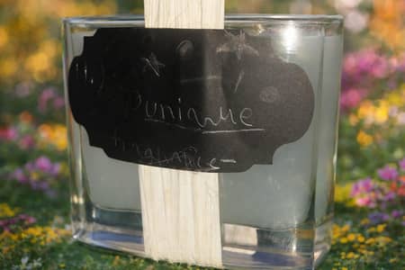 perfume new condition new comany