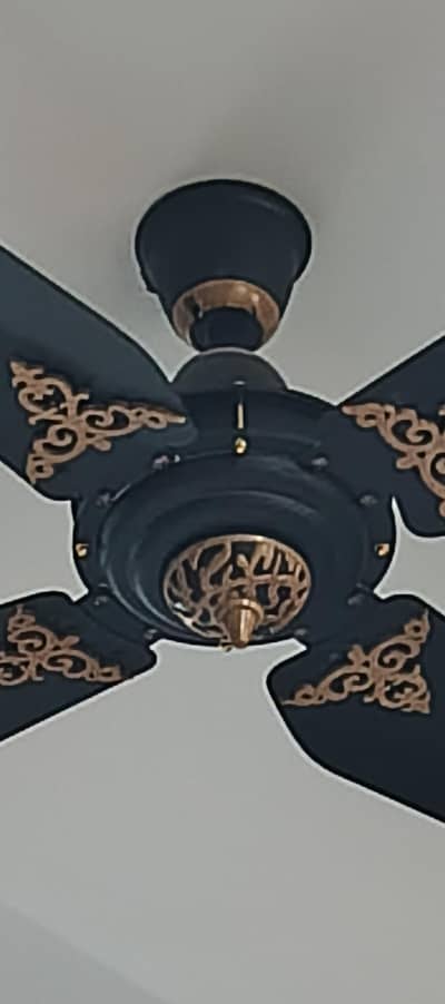 Pak fans cieling fan