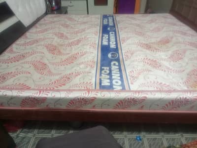 Cannon foam medicated metress