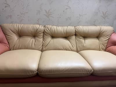 leather sofa