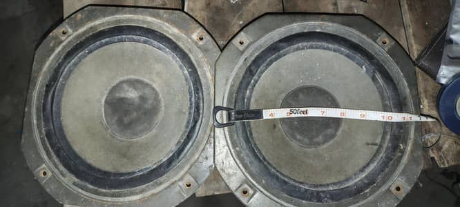 12inc spikr jpni dbl mgnt waly ha