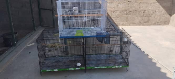 master  company 3 cage teen available