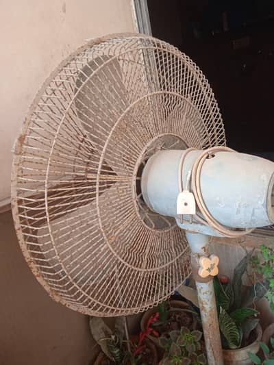 large Fan