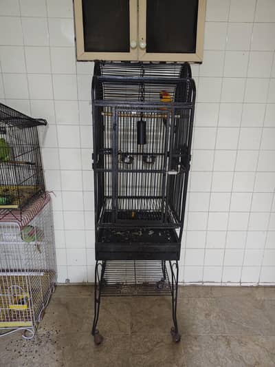 Parrots Cage