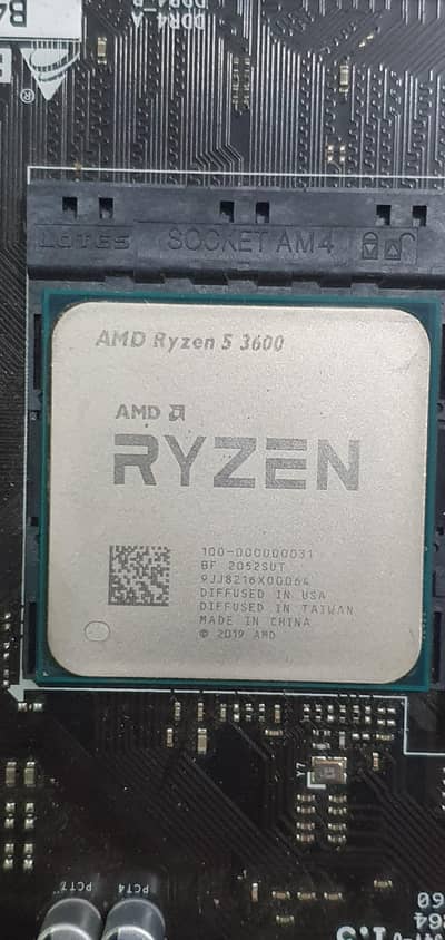 AMD Ryzen 5 3600