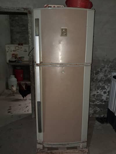dawlance double door Fridge in good condition