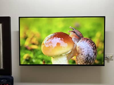 TCL 55 inch LED TV