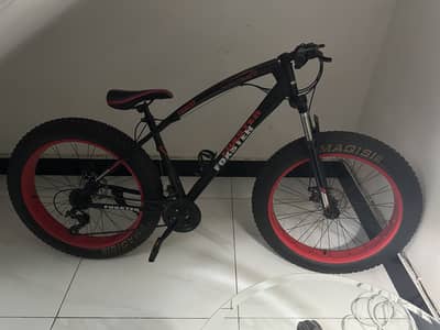 Fat Tire bicycle