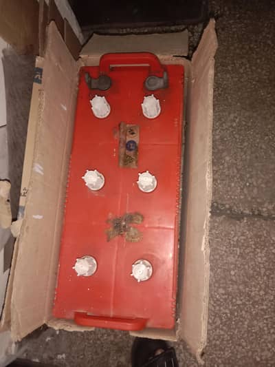 Euro Battery only 6 month use