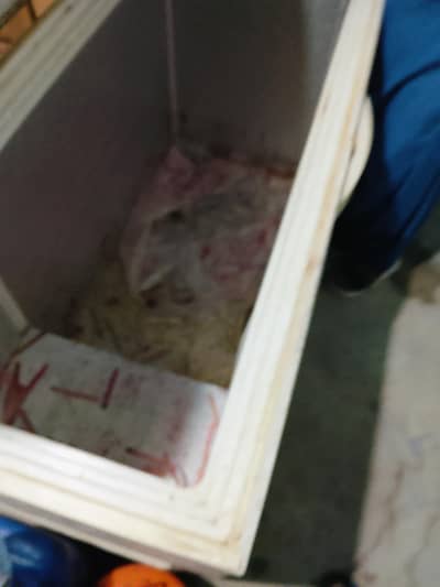Used Freezer For Sale