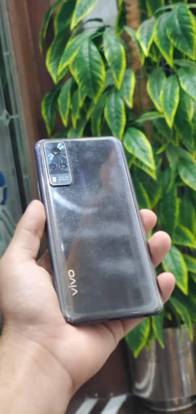 vivo V31 with box