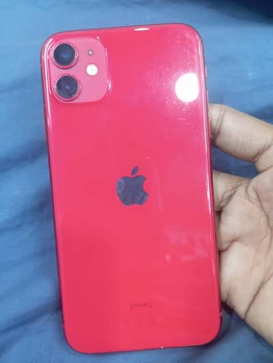 IPhone 11  Official PTA
