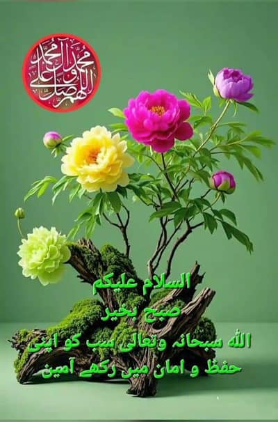 aoa mujhay Honda CD 70 chahiay model koi b ho  30 ki range main