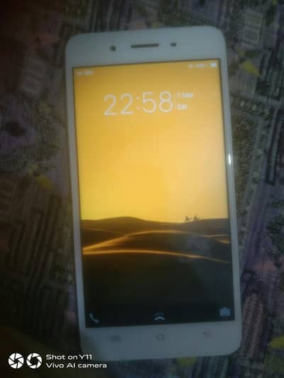 vivo y55 4-64 all OK 10/10 exchange posible