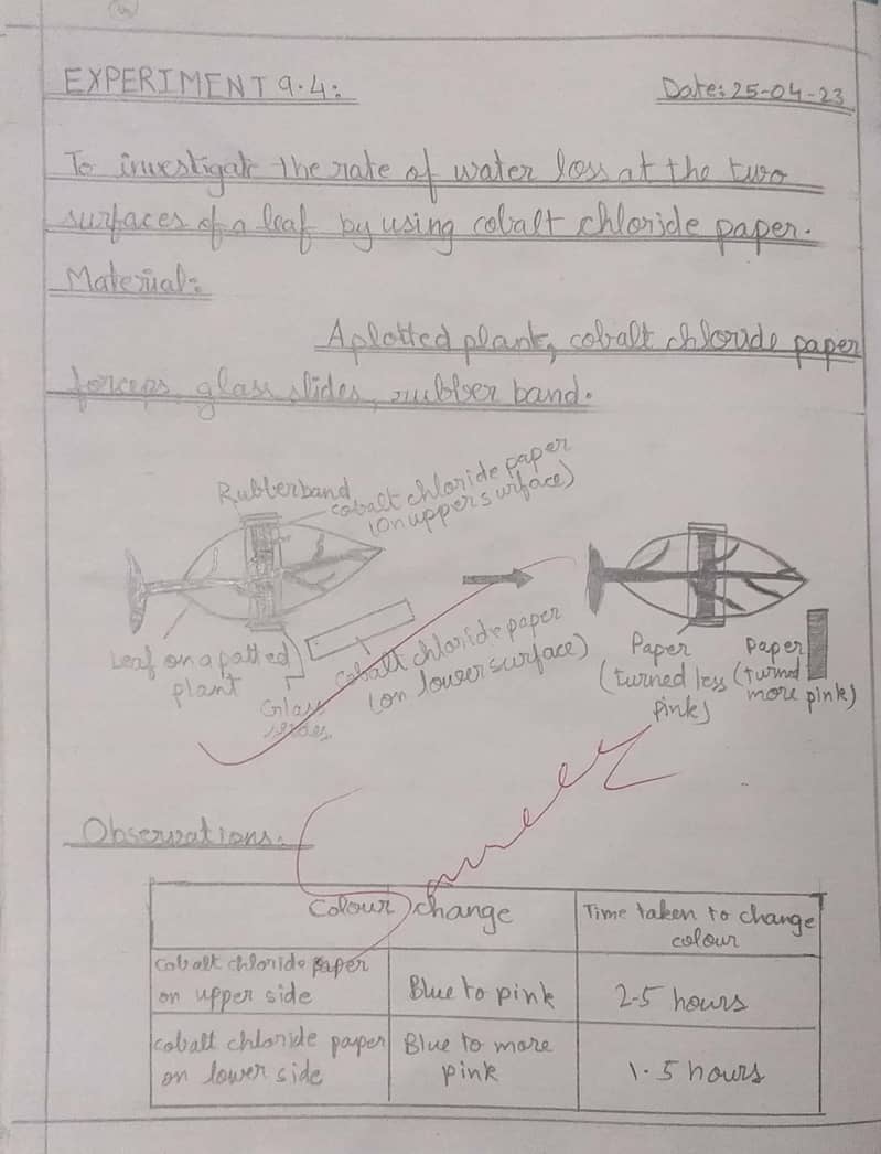 Practical Notebooks Handwritten Checked  Intermediate 9