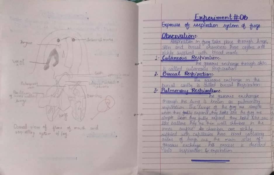 Practical Notebooks Handwritten Checked  Intermediate 12