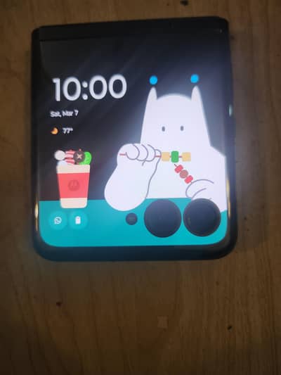 Moto Razr Plus 2023 PTA Approved