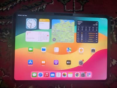 iPad Pro 11" M4 2024 256GB — Like New + Free Case