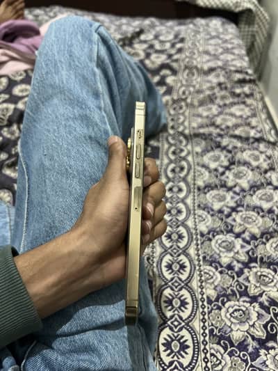 Iphone 13 pro max Jv