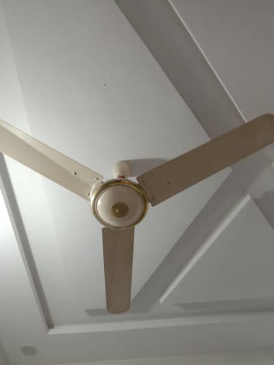 Selling fan