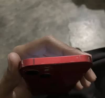 iPhone 13 256gb water pack