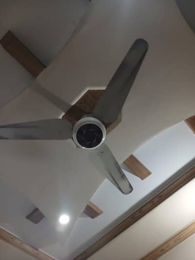 fan for sell