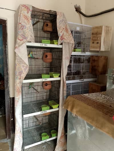 4 portions waly cage's (0300/49/89/439)