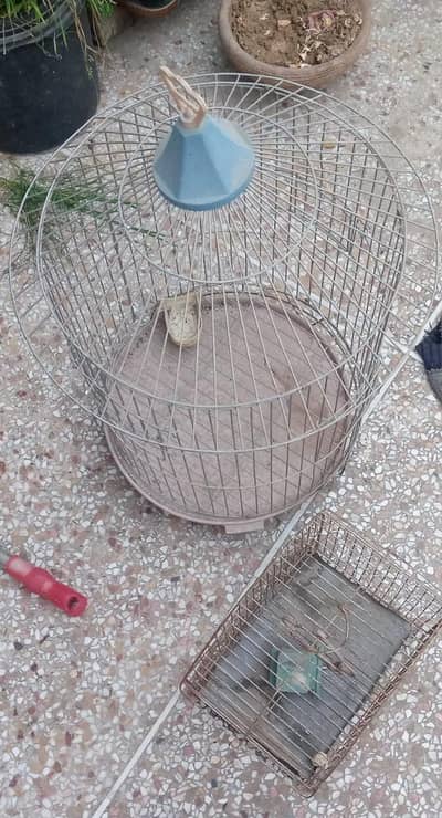 cage for birds