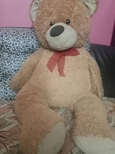 big teddy bear 