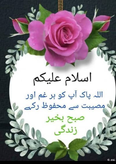 Doctor required for walfer institution for 2 hours in evening