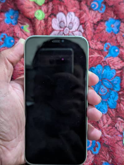 Apple iPhone 12, 256 GB Green
