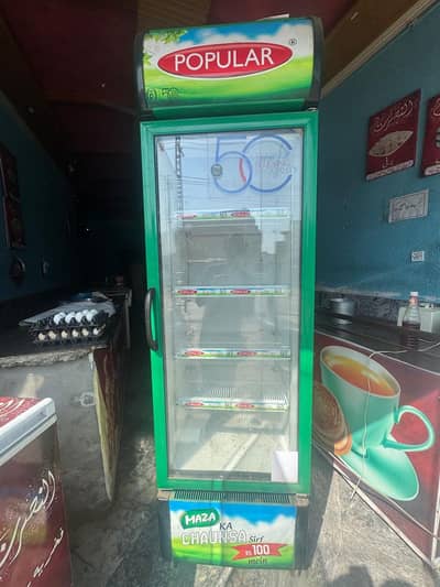 Popular Display Freezer
