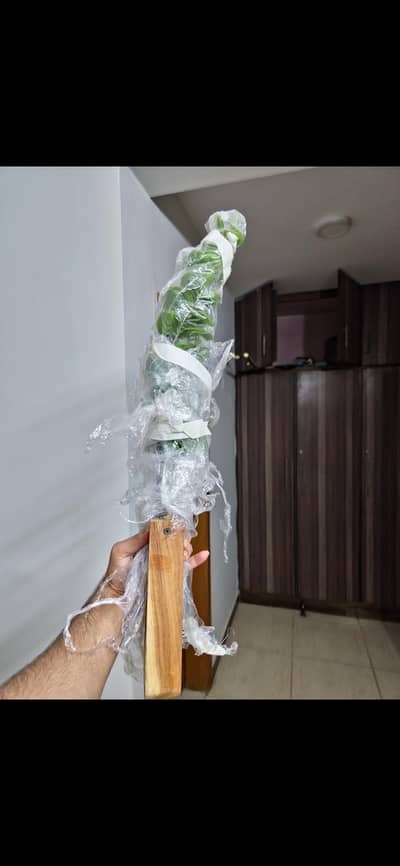 Selling one wall hanging aesthetic flower