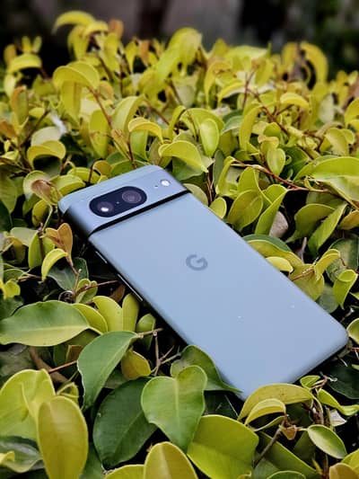 Google pixel 8 (128) Duel PTA Proved Great Condition Sale & Exchanged