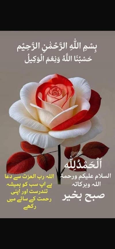 Desi  pure organic & pasture grased eggs