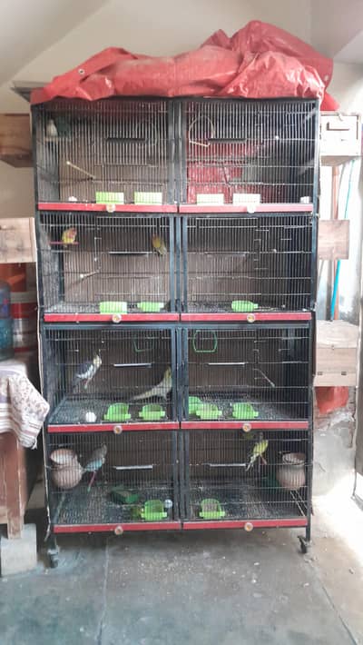 Parrots Cage
