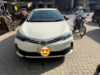 XLI Auto Gli covered